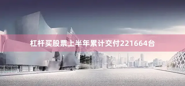杠杆买股票上半年累计交付221664台