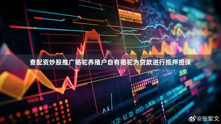 查配资炒股推广骆驼养殖户自有骆驼为贷款进行抵押担保