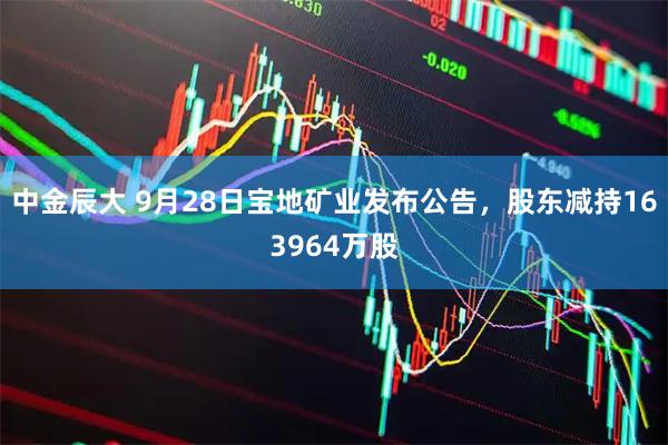 中金辰大 9月28日宝地矿业发布公告,股东减持163964万股