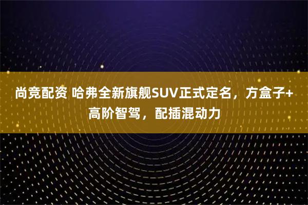 尚竞配资 哈弗全新旗舰SUV正式定名，方盒子+高阶智驾，配插混动力